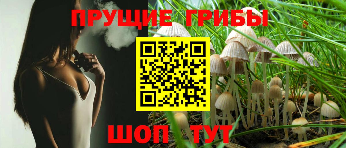 Псилоцибиновые грибы Psilocybe Рославль