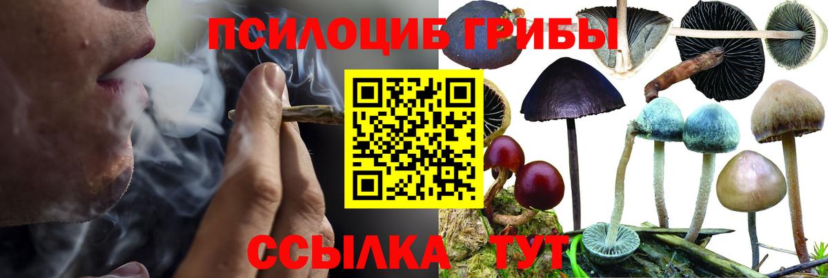 Псилоцибиновые грибы Psilocybe  Псилоцибиновые грибы ЛСД  Рославль  Вход с VPN 